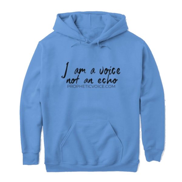 I Am A Voice Not An Echo